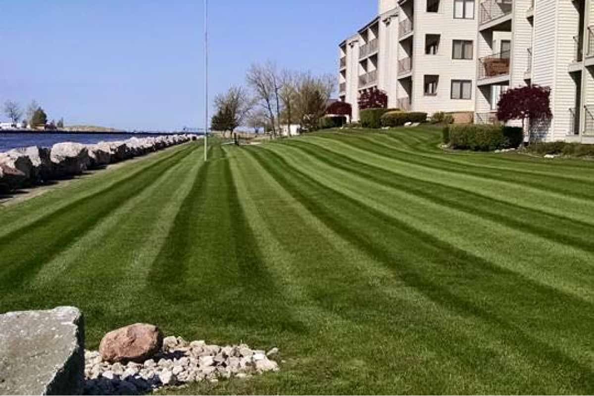fresh mower cut lines on lawn of apartment complex