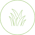 green grass icon small