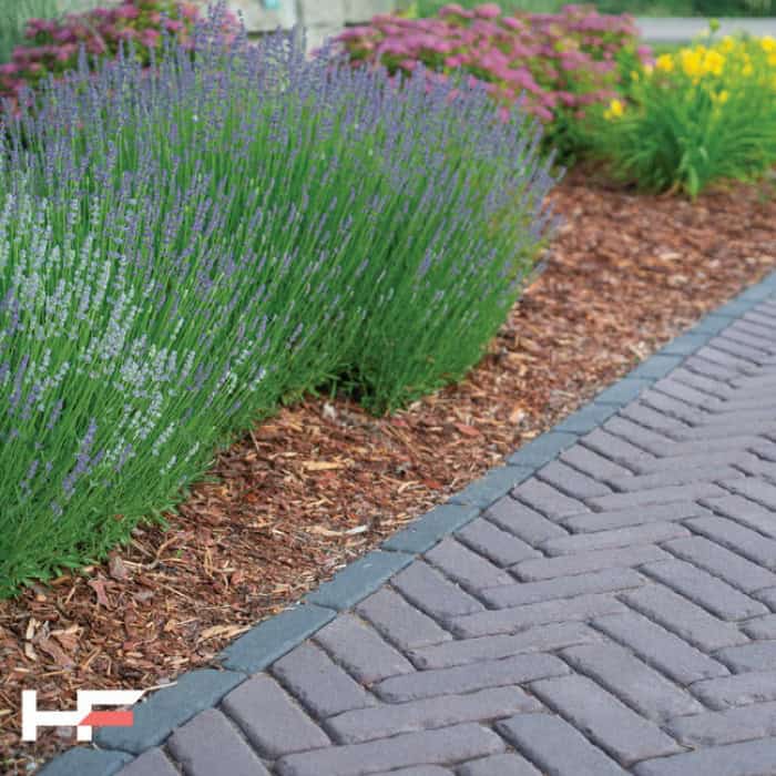 Aamaro paver walkway