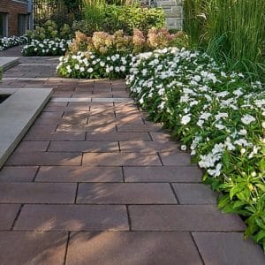 Senzo pavers used for backyard walkway