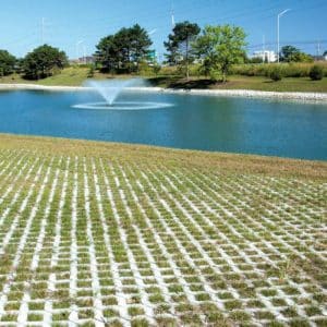 Turfstone Around pond